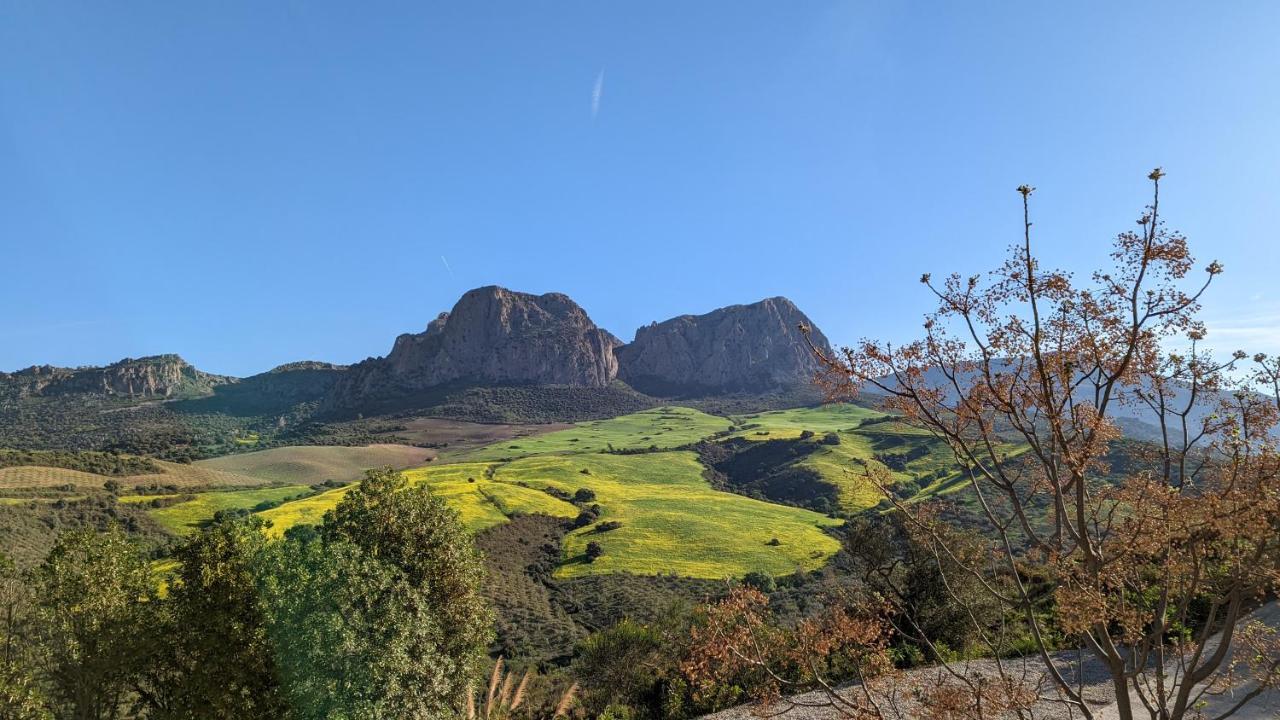 Cortijo Sylvestre Bed & Breakfast Riogordo Exterior photo